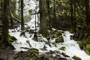 Clear creek flowing over rocks