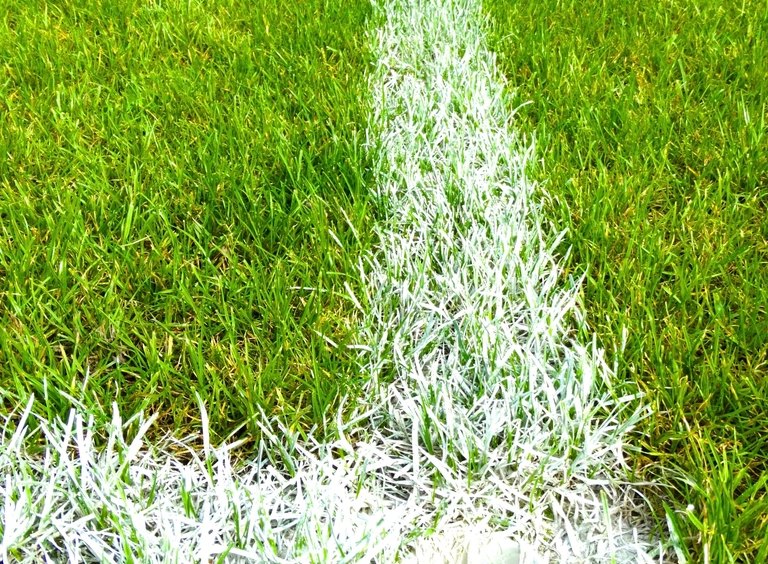 Football field with painted yard lines