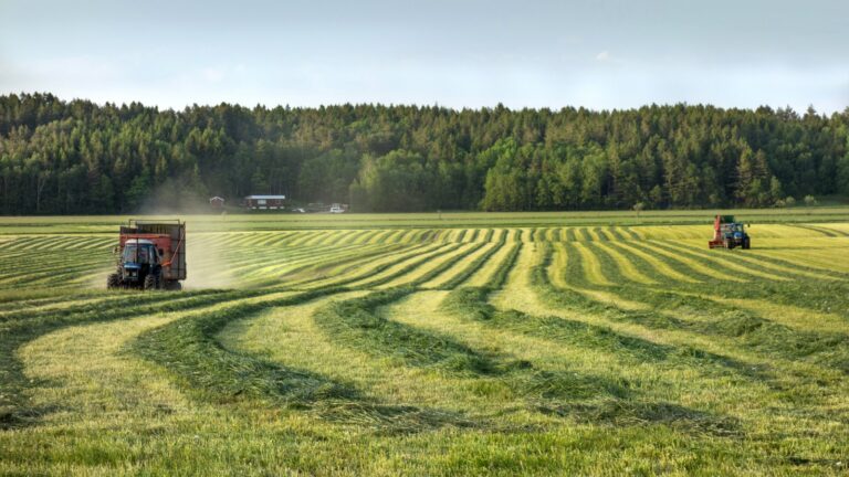 MDARD awards $1.4M grants for rural veterinary workforce