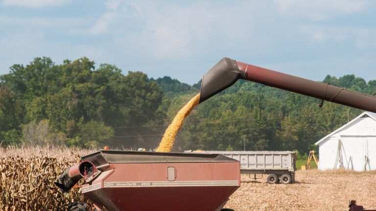 New Corn Leaf Disease Spreads to 16 Michigan Counties