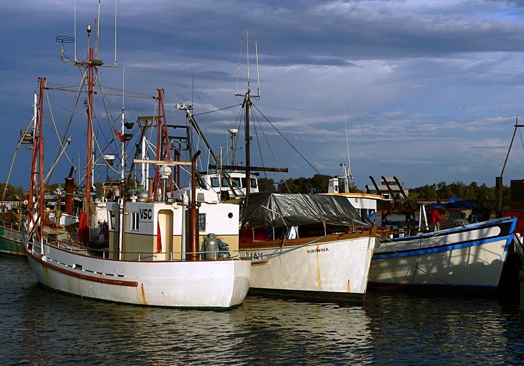 Fishing boats tied up at a harbor