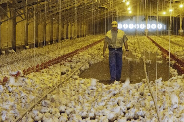 Michigan Farms Can Get Free PFAS Soil and Water Testing