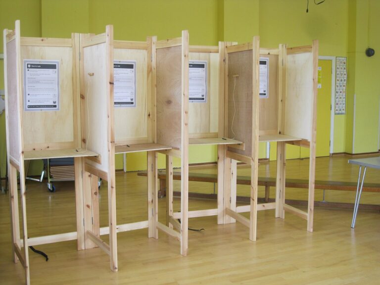 Michigan Voters Weigh Constitutional Convention Question